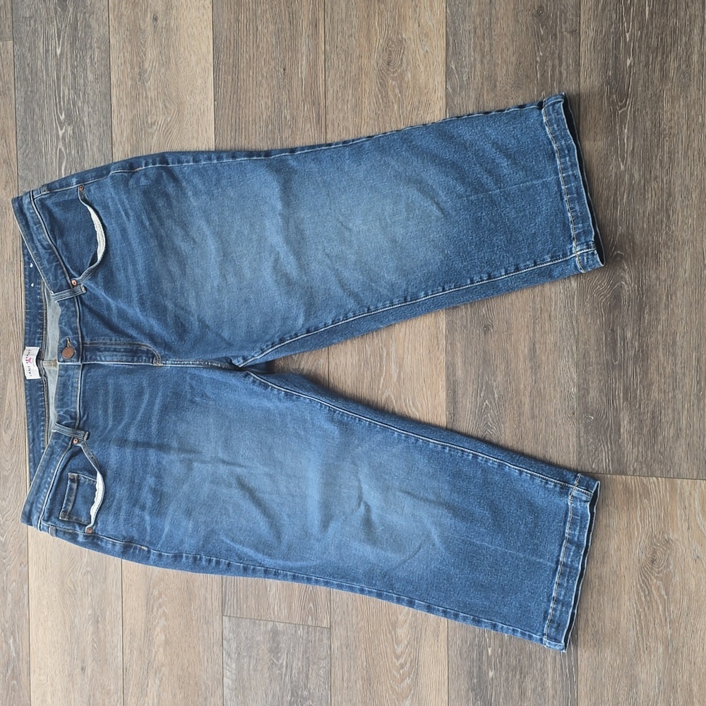 Lane Bryant Relaxed Fit Women's Size 22 Denim Jeans Pants